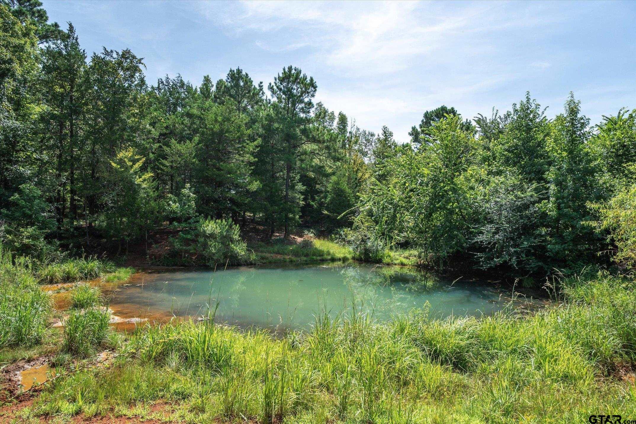 00 County Road 4501