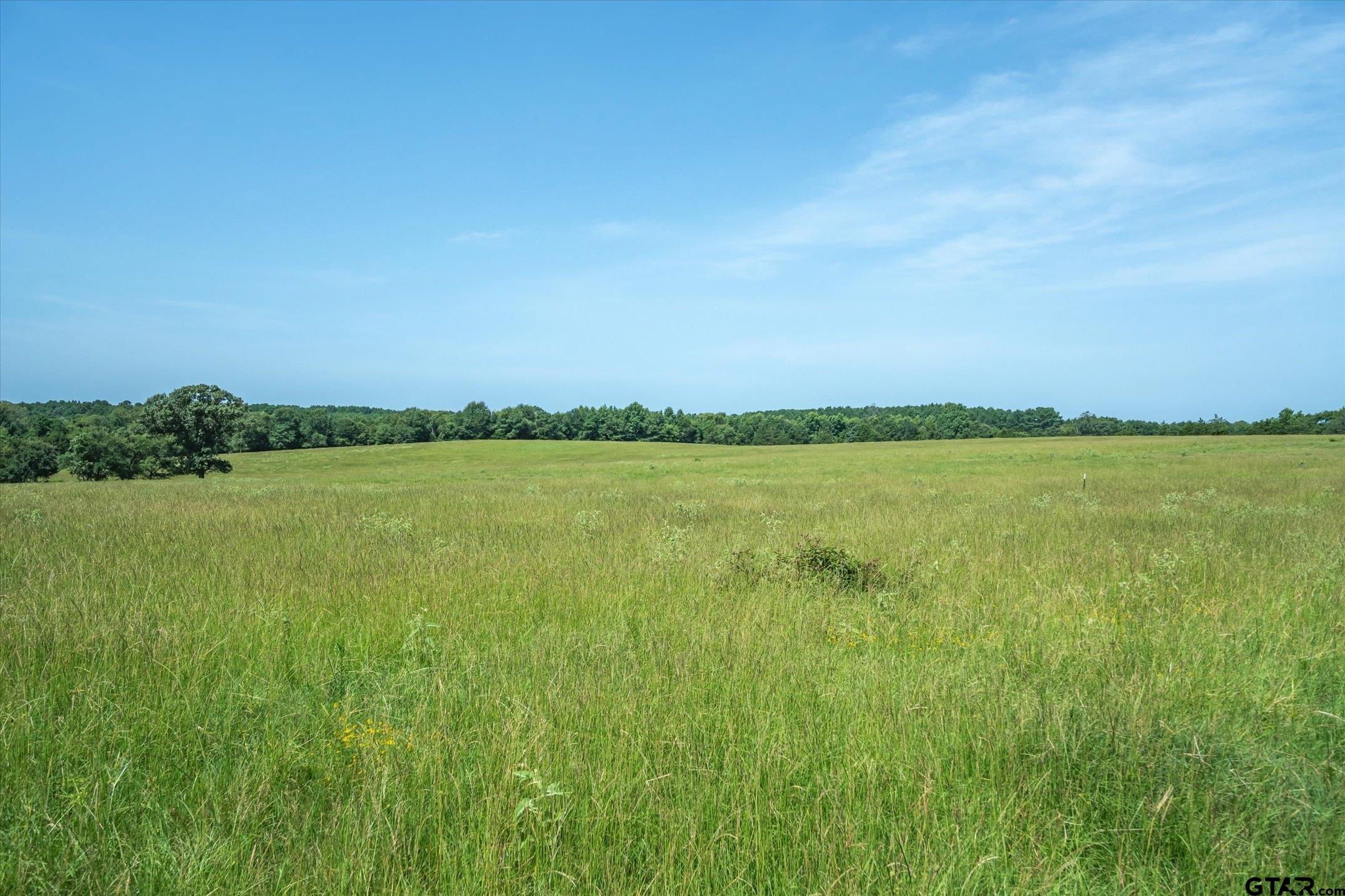 00 County Road 4501