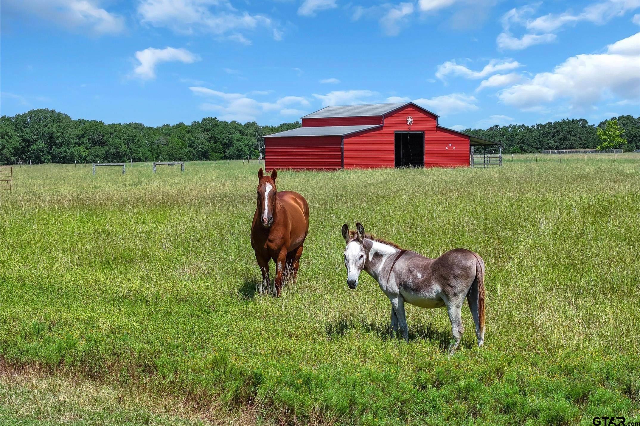 4182 Hidden Meadow Drive