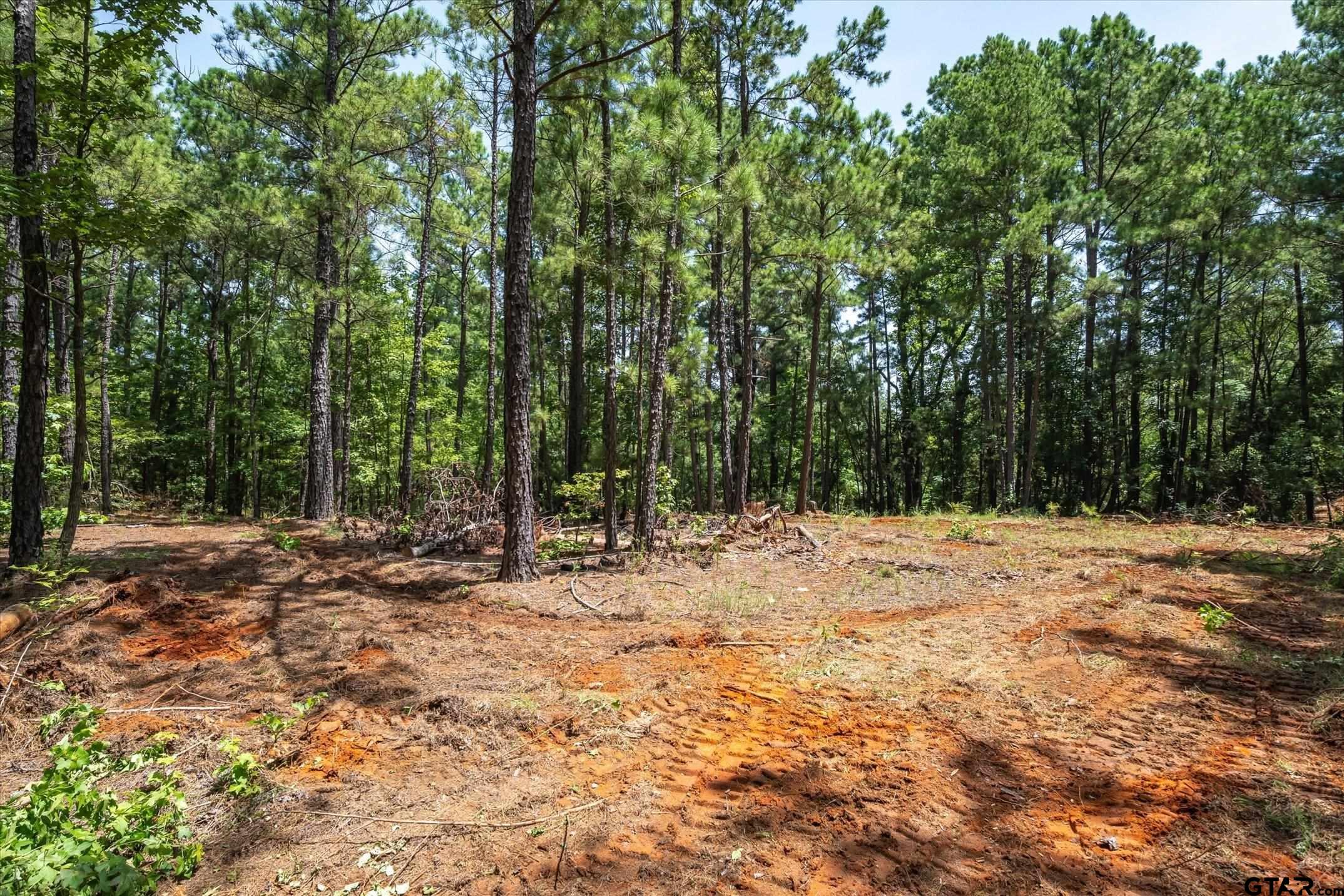 Tract 1 County Road 4102