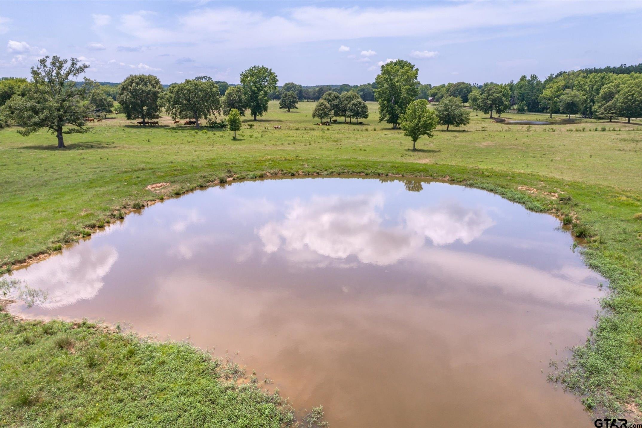 17104 County Road 1100