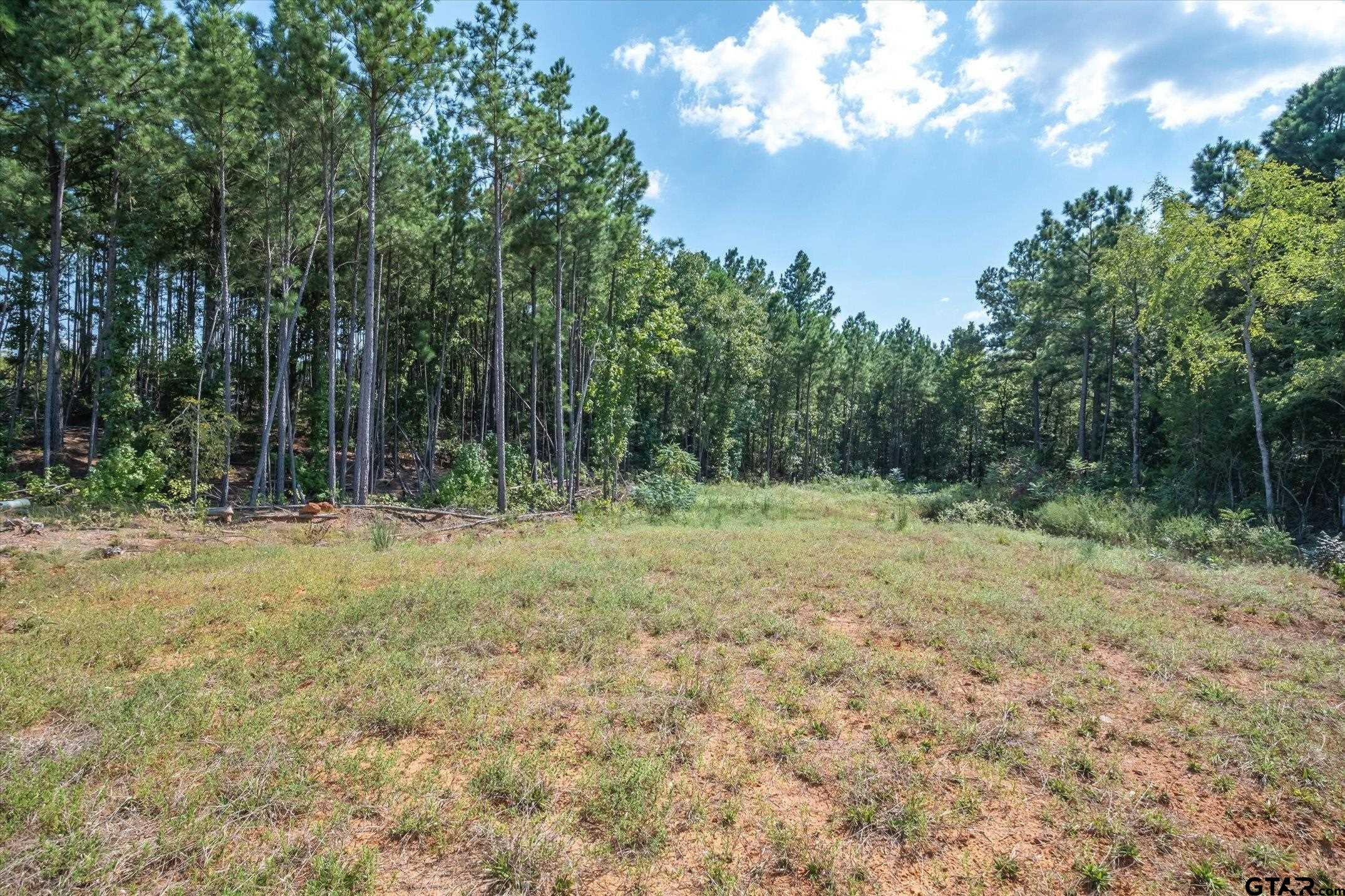 18021 S State Highway 155