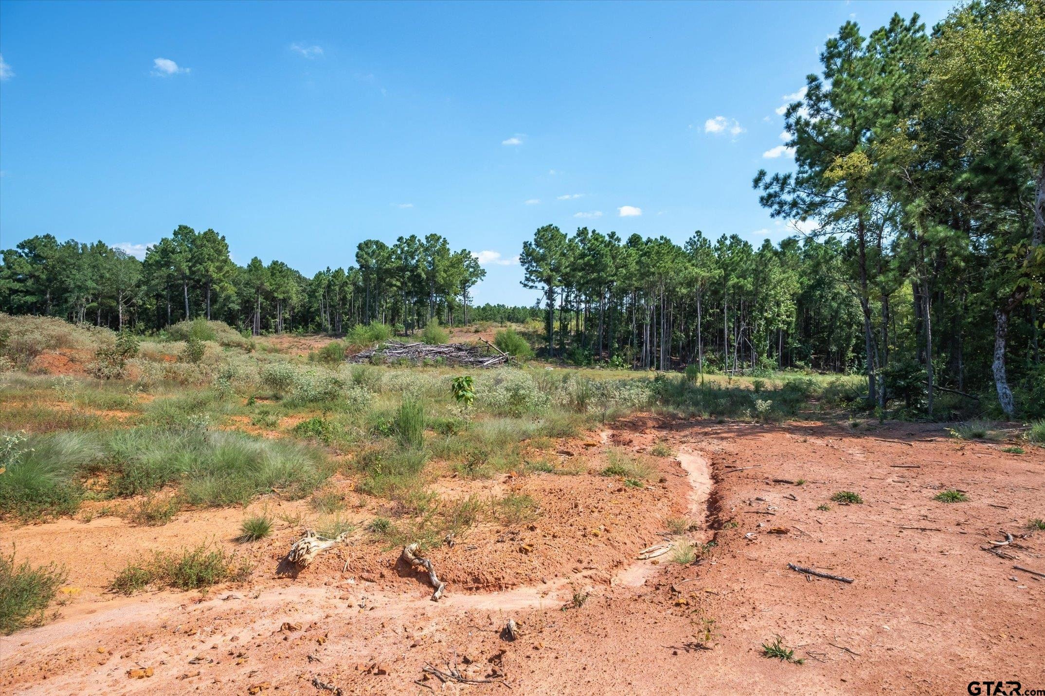 18021 S State Highway 155