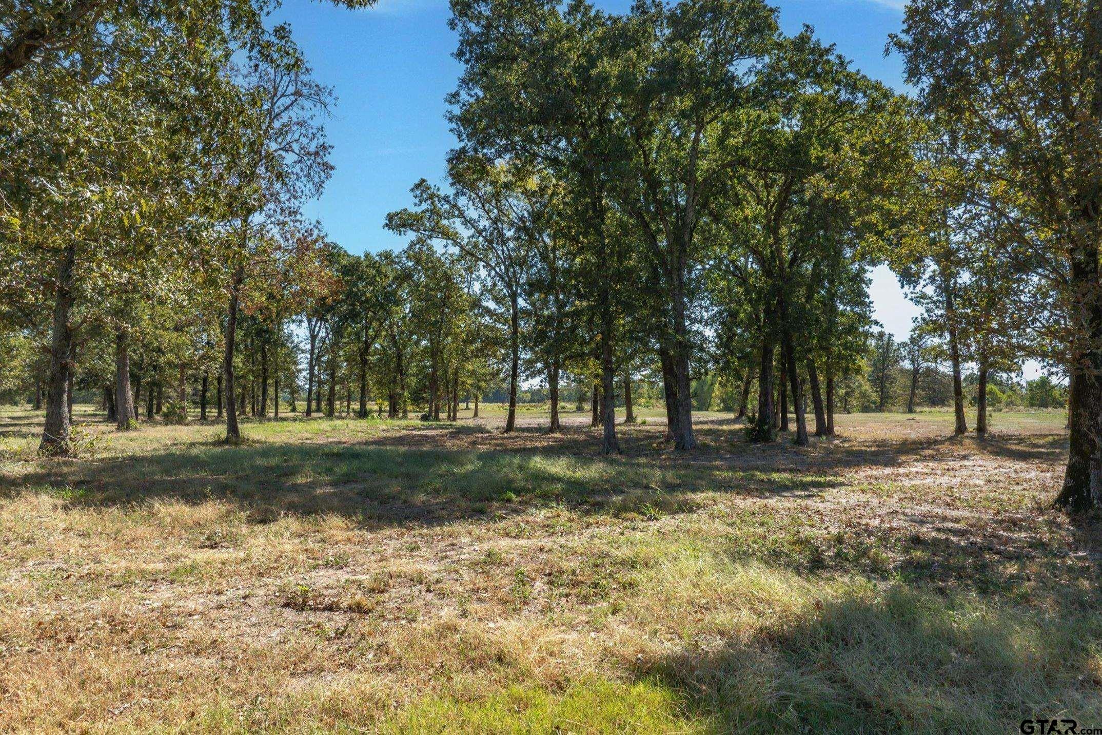 806 County Road 2918