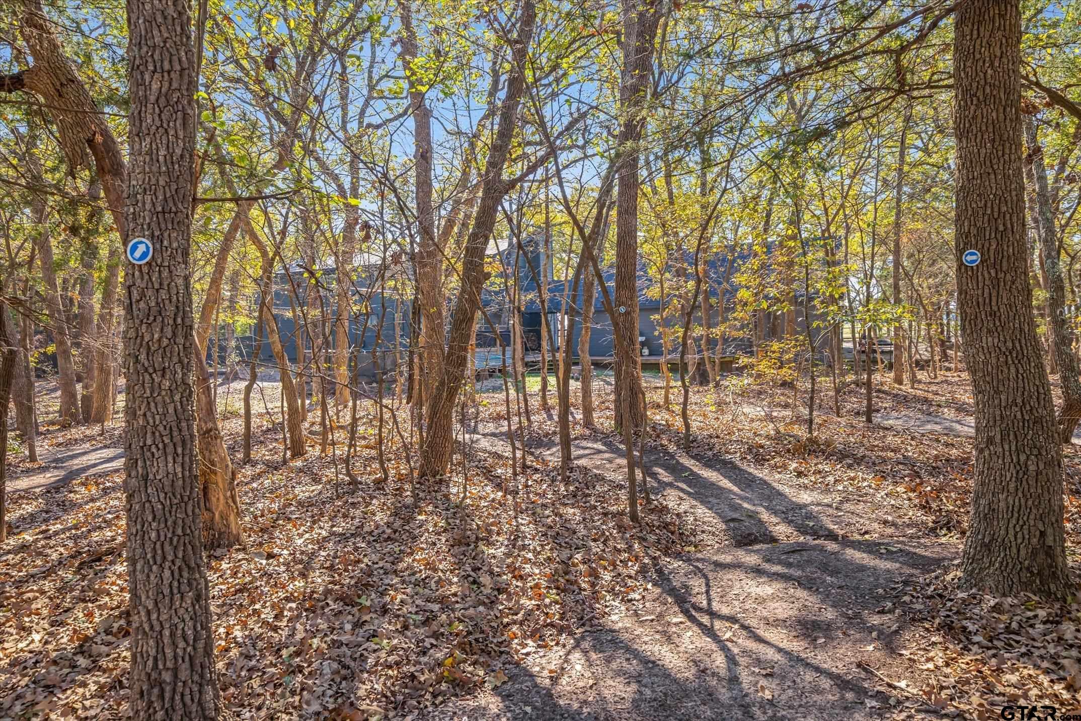 10825 County Road 2458