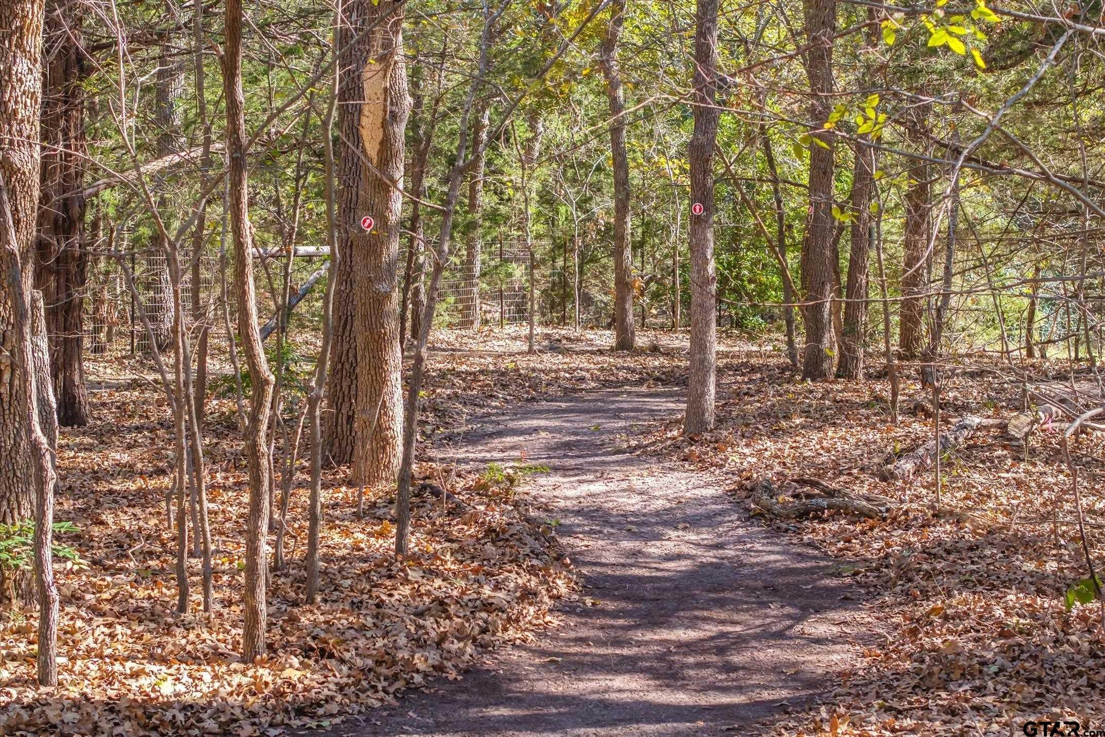 10825 County Road 2458