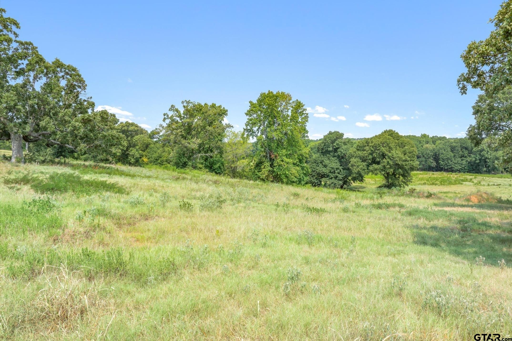 000 County Road 2918