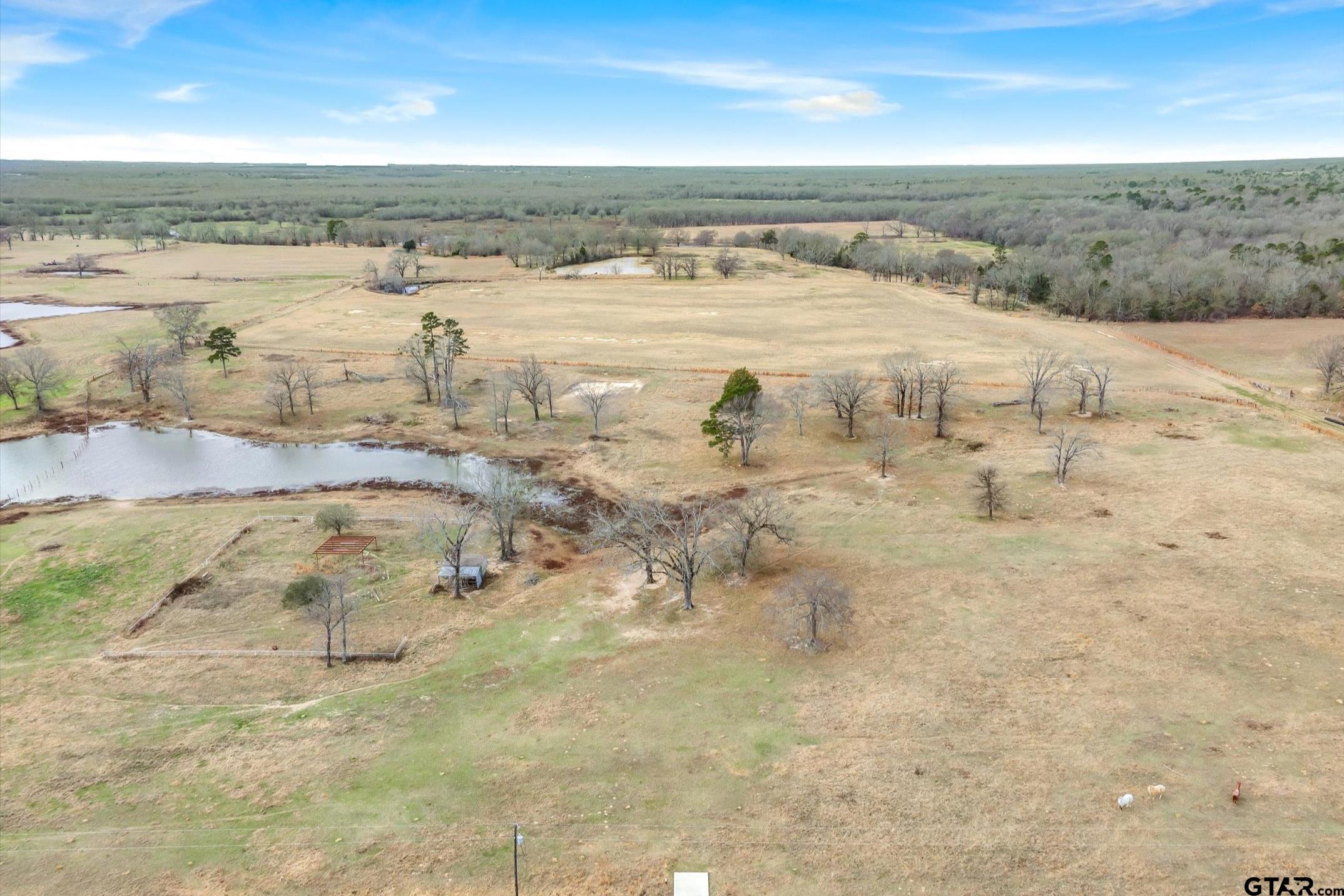 000 County Road 2918