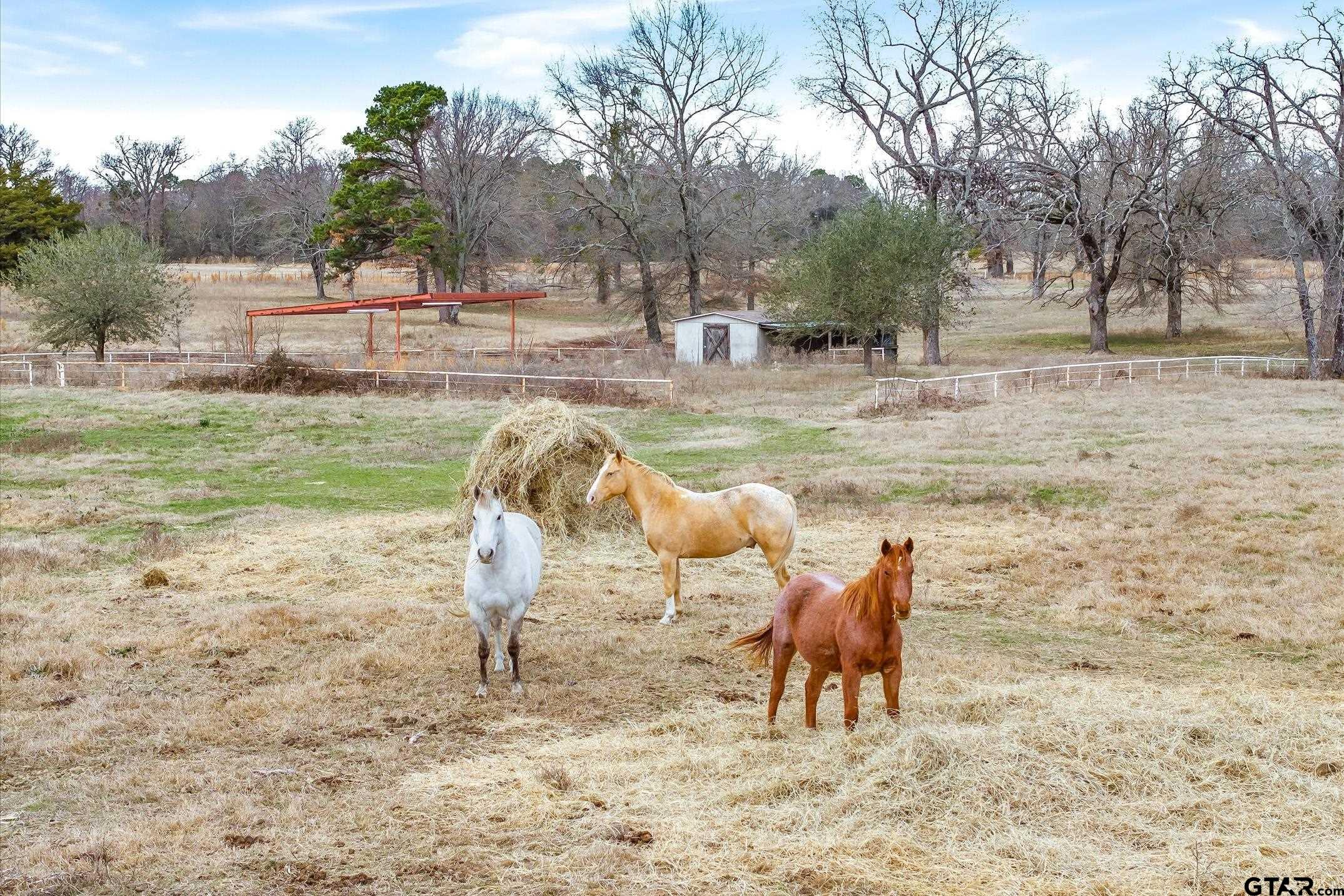 000 County Road 2918