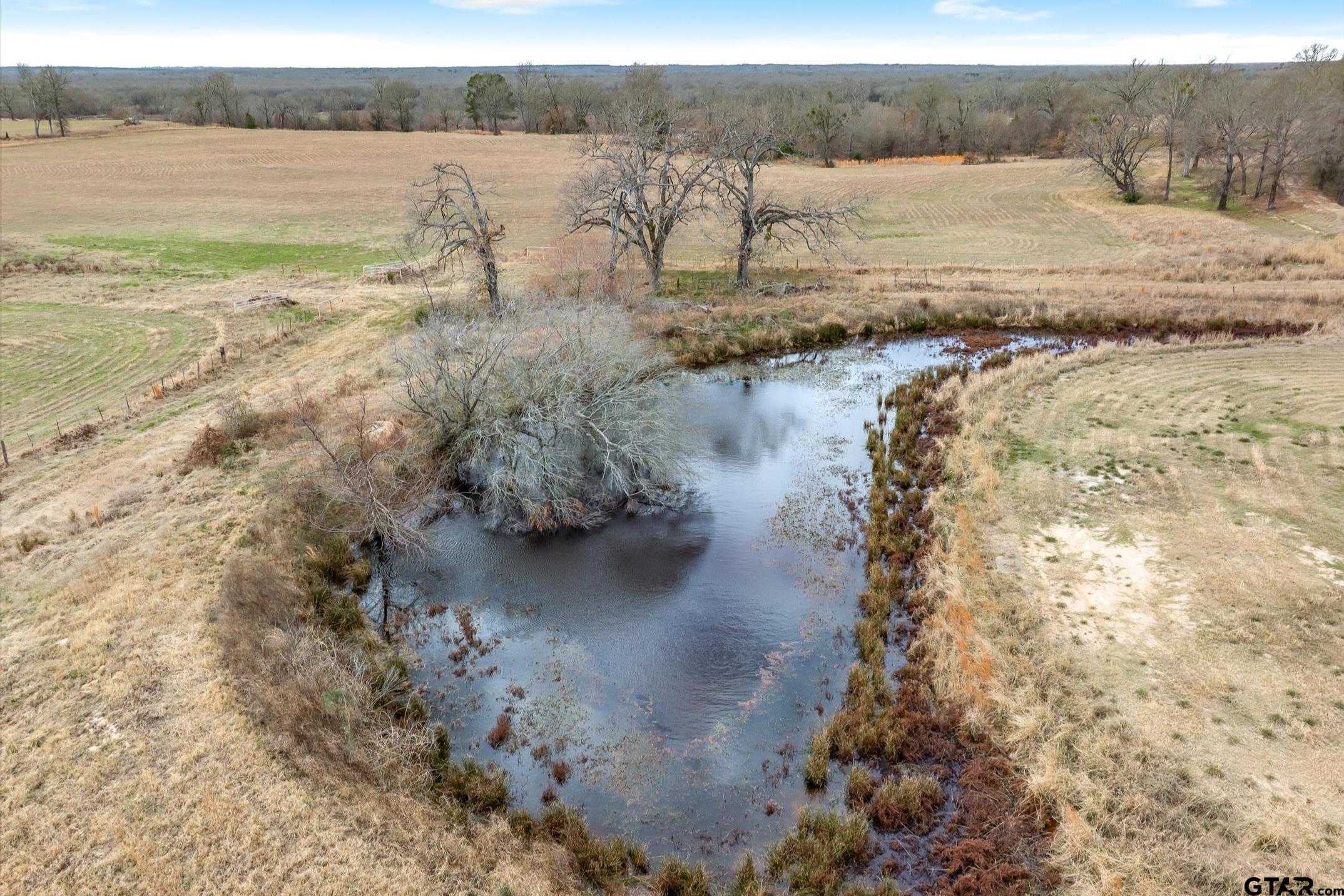 000 County Road 2918