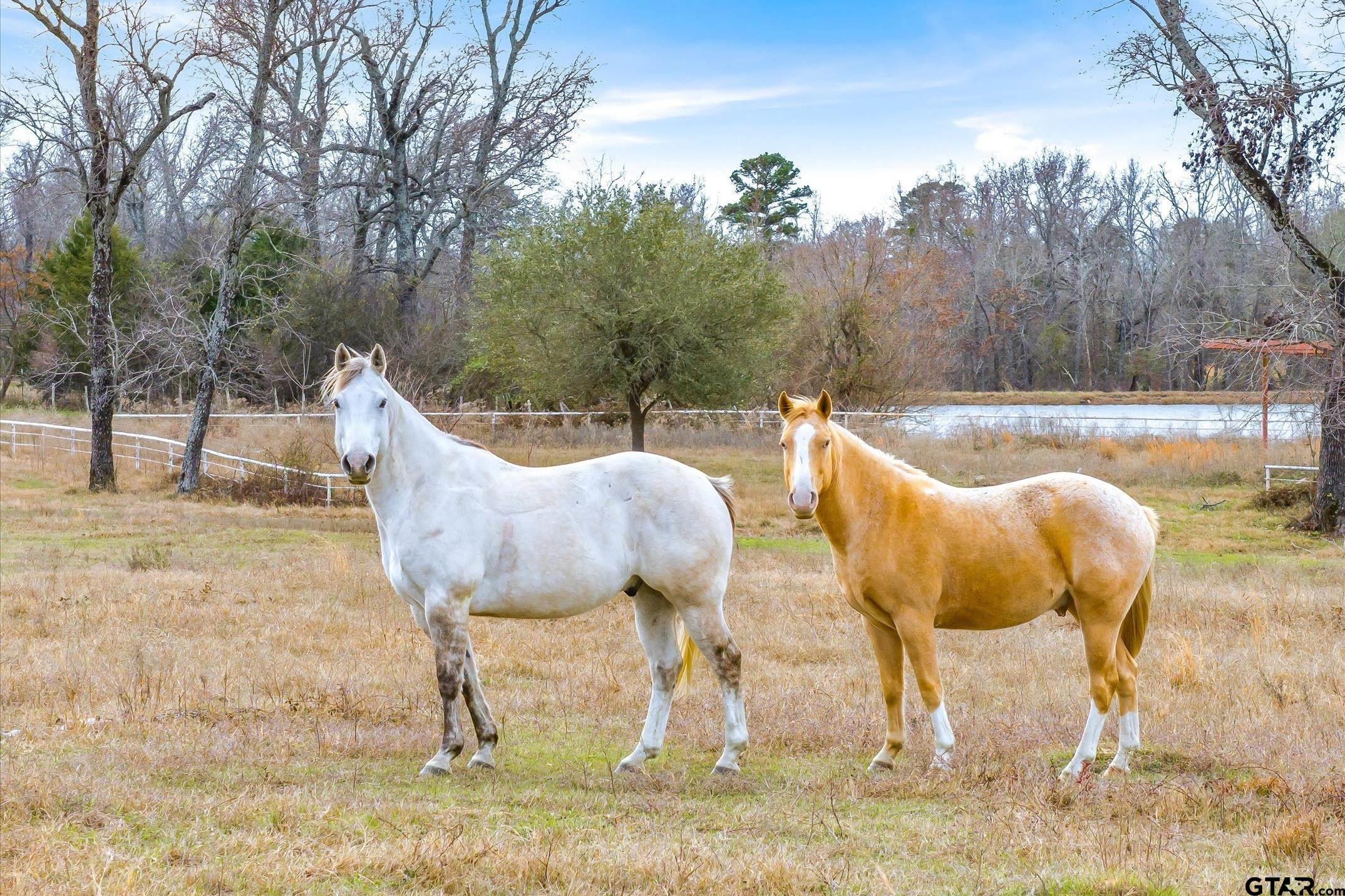 000 County Road 2918