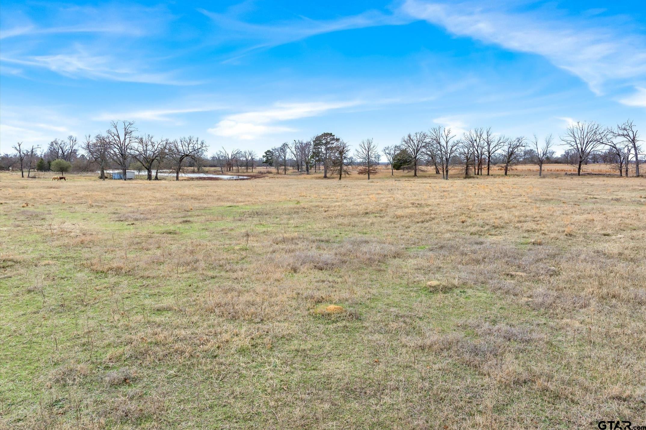 000 County Road 2918