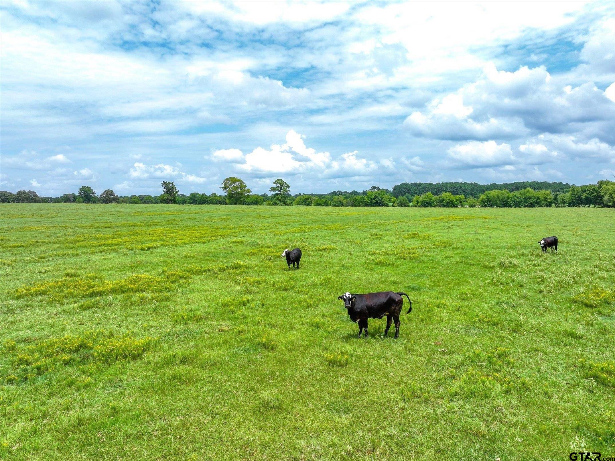 Tract 9 County Road 3415