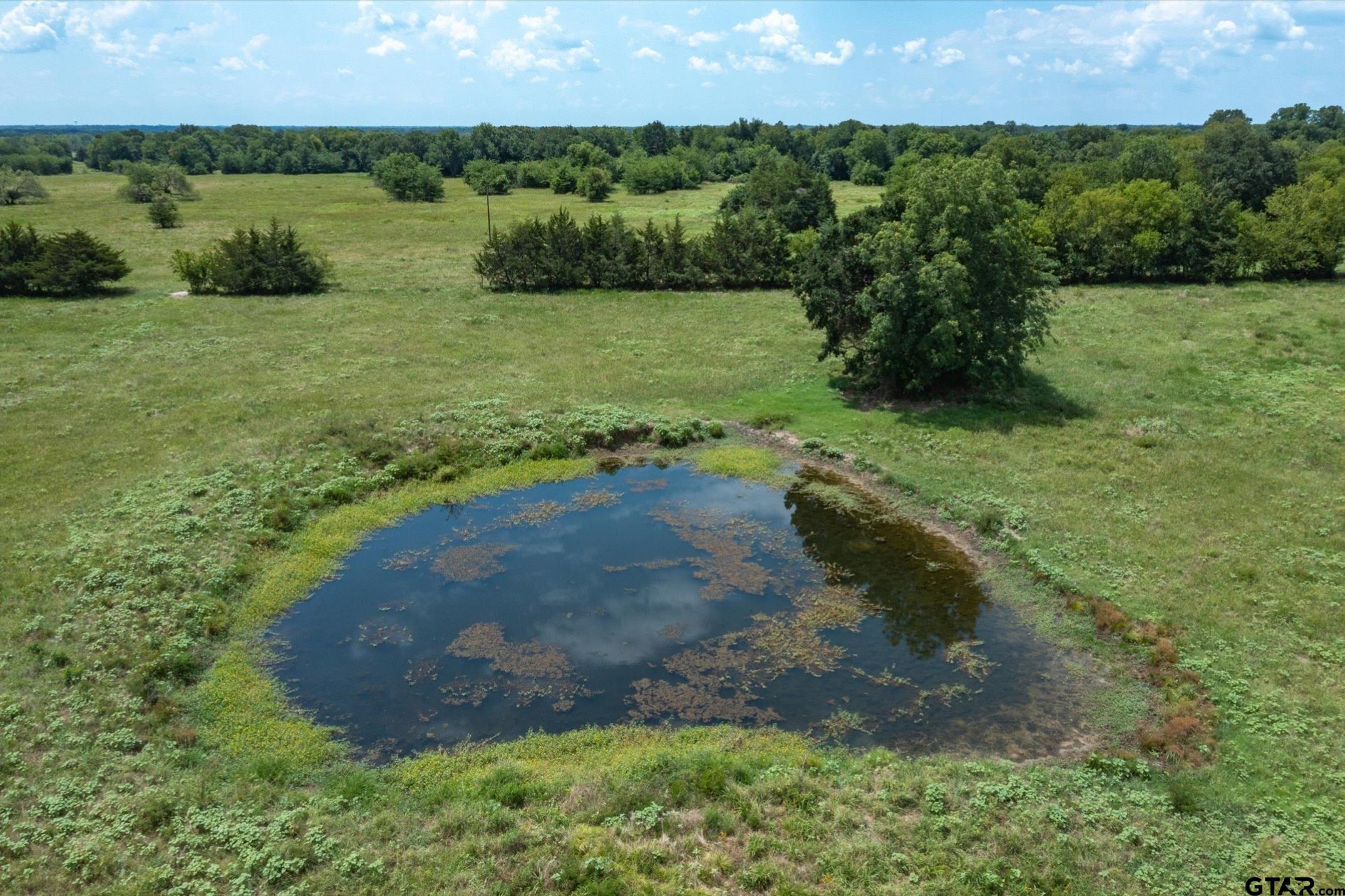 TBD VZ County Road 3812