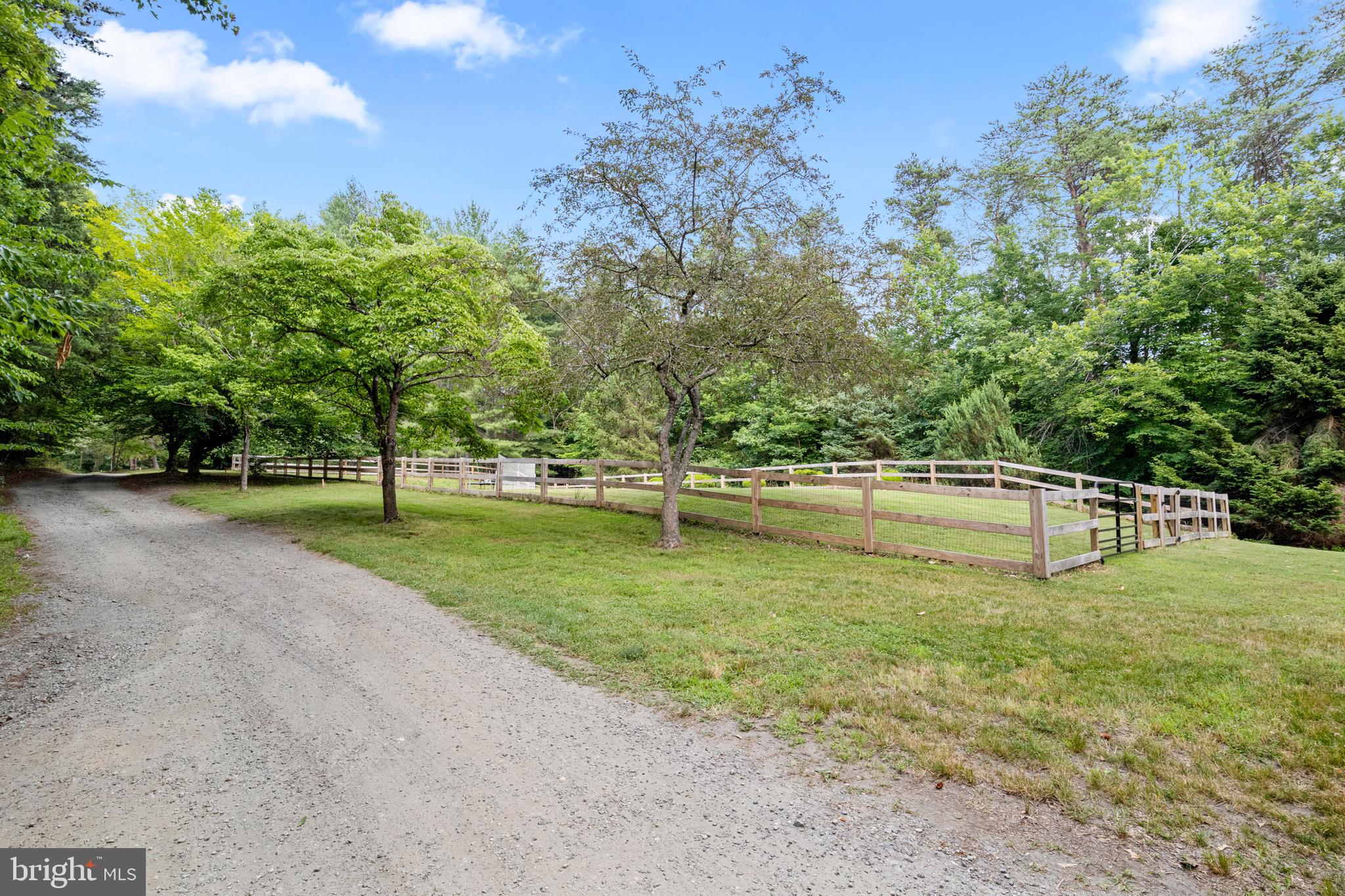 115 MINE CREEK TRAIL