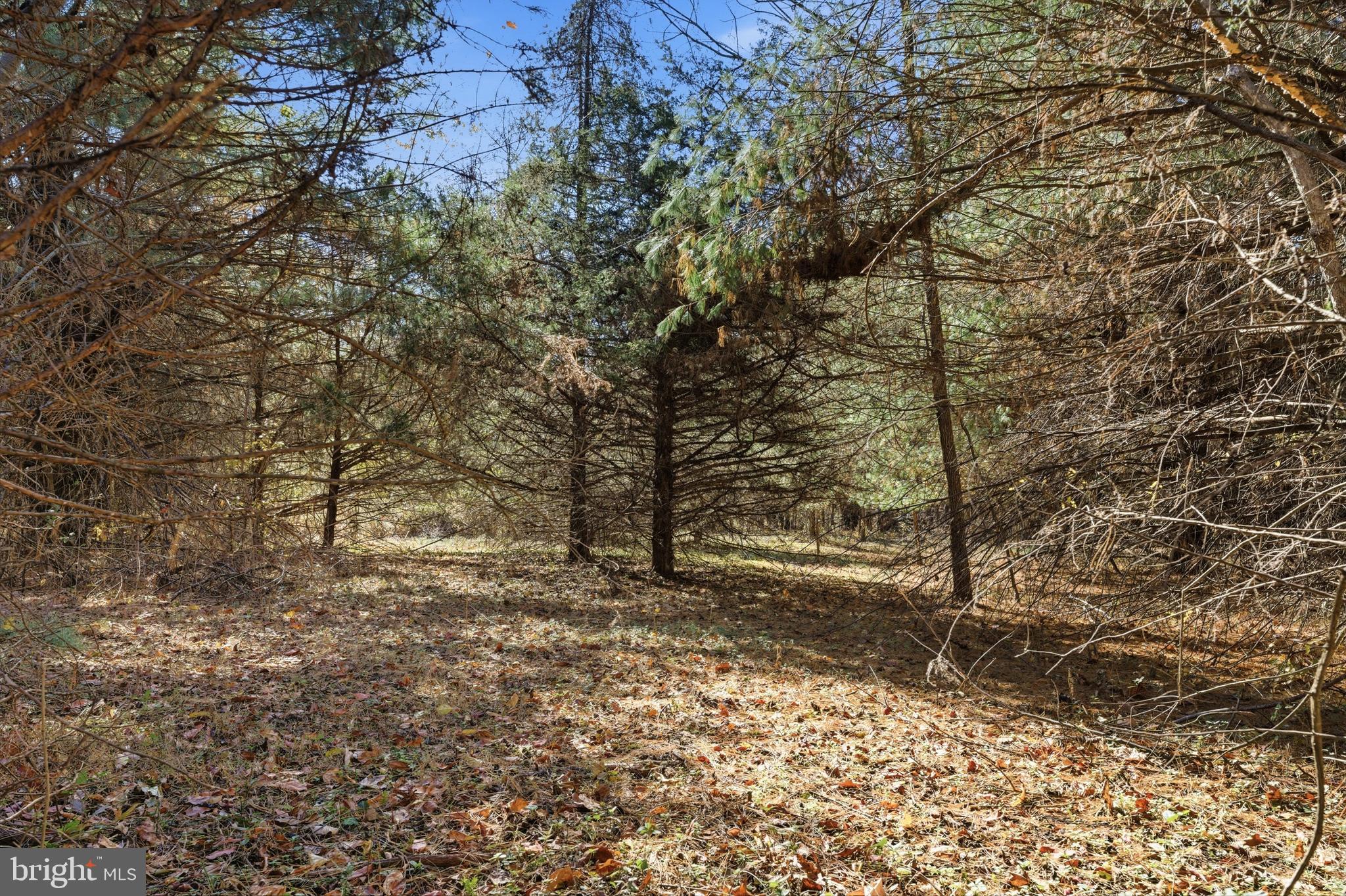 LOT 2 SEMINOLE