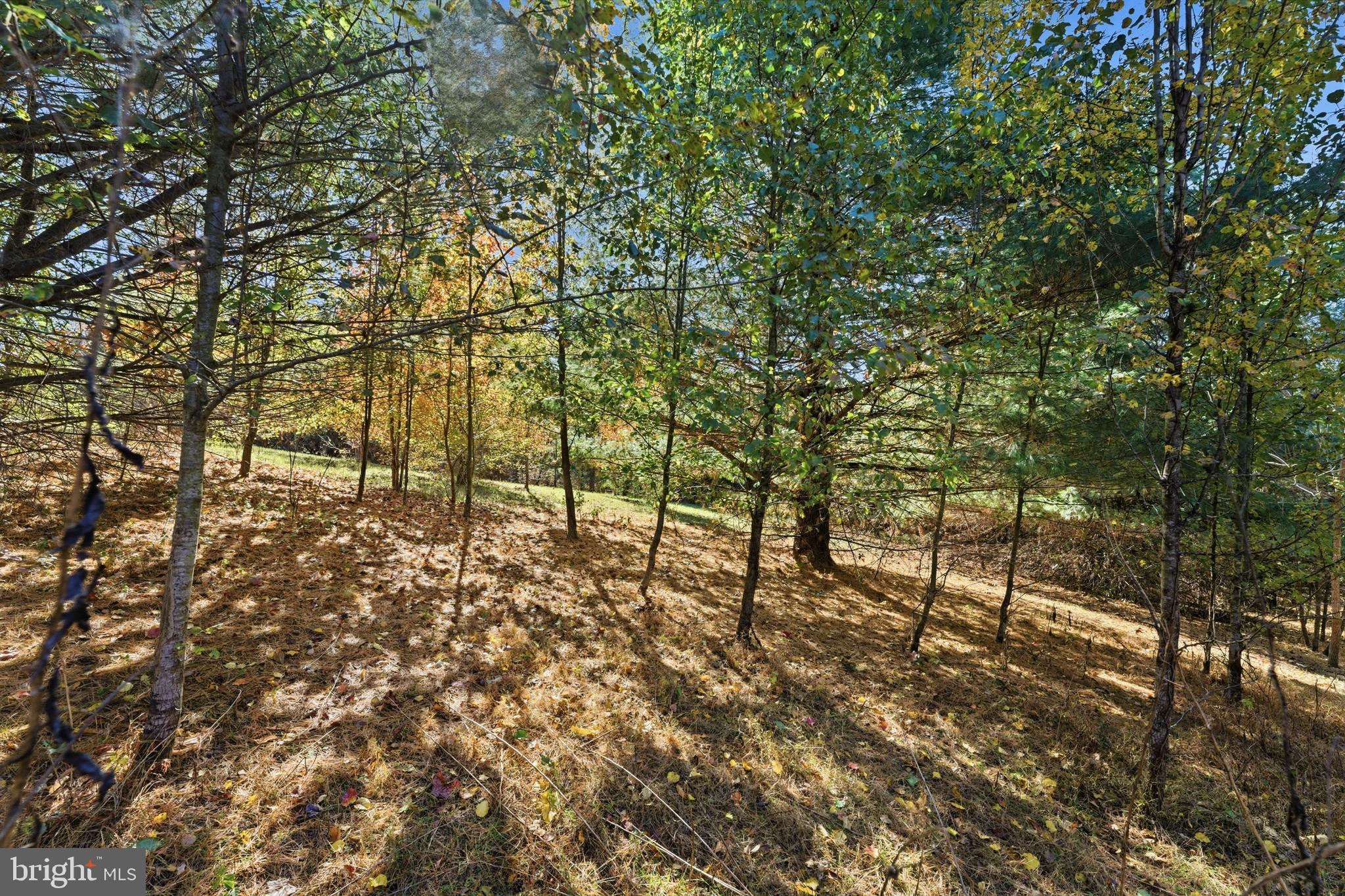 LOT 2 SEMINOLE