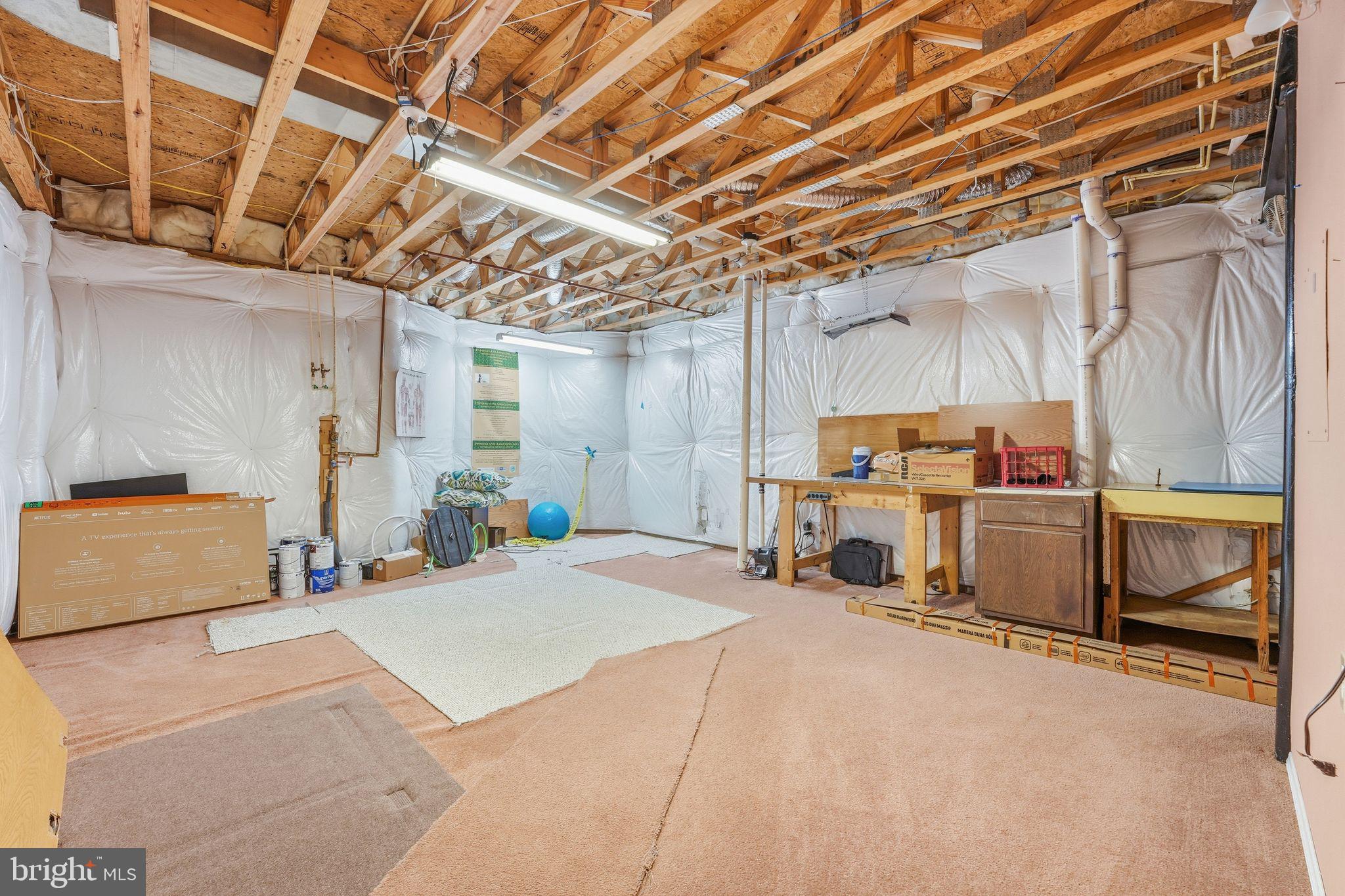 13141 TRIPLE CROWN LOOP