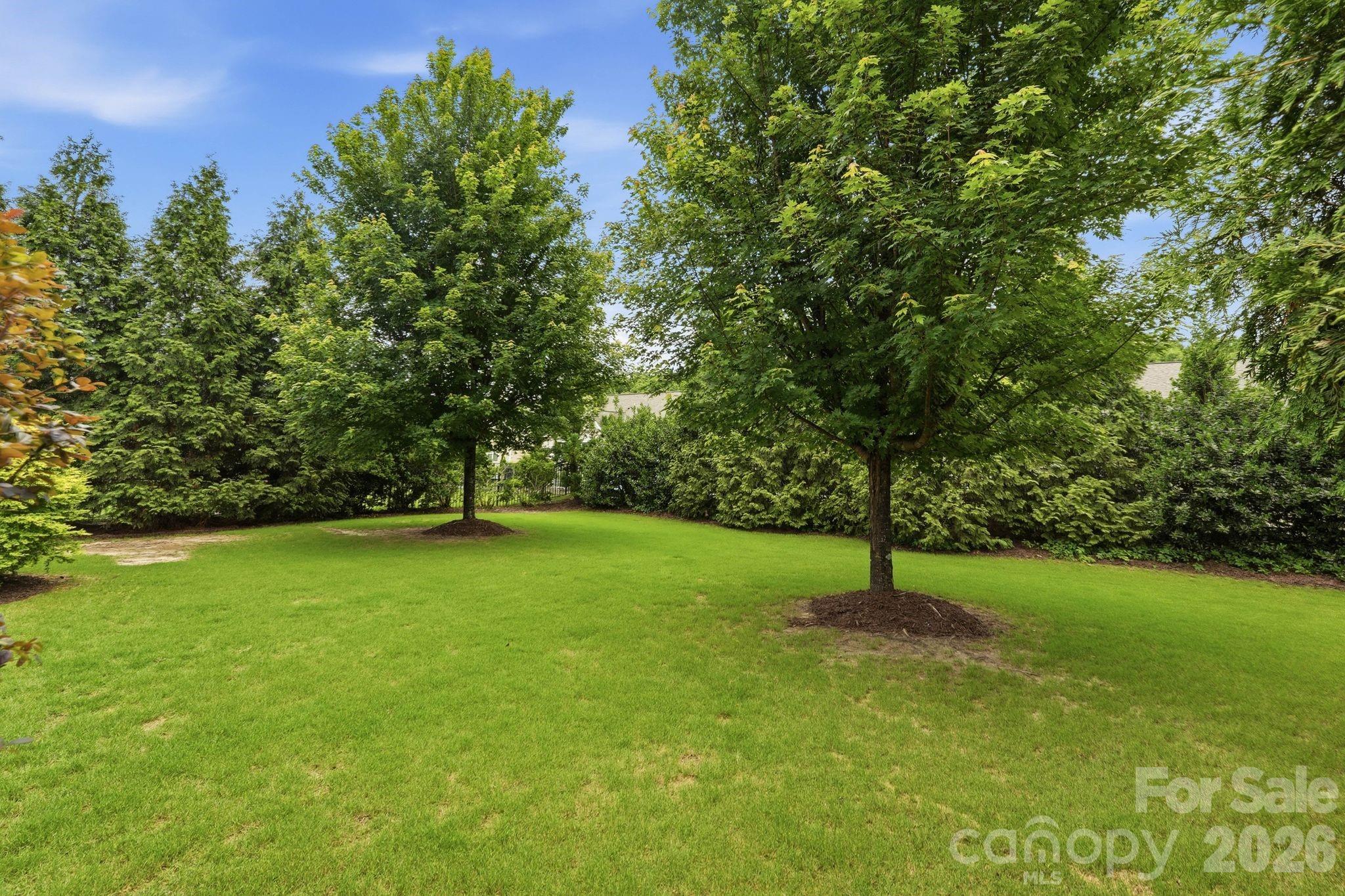 524 Rosemary Lane