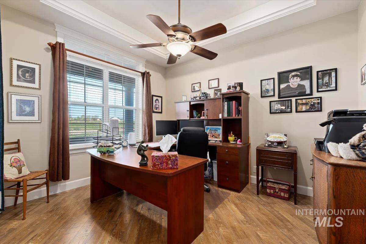 27915 Rabbit Brush