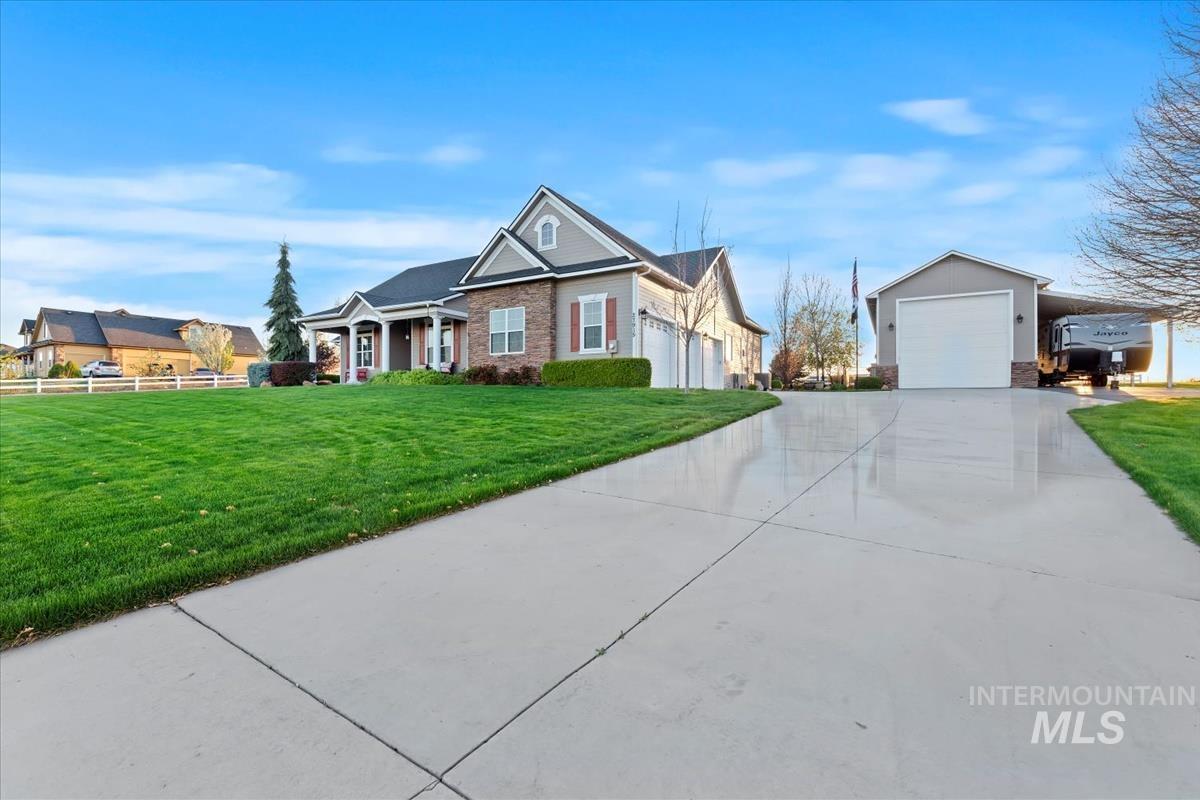 27915 Rabbit Brush