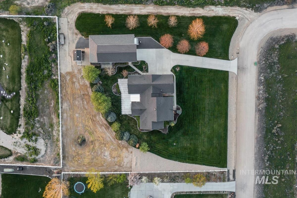 27915 Rabbit Brush