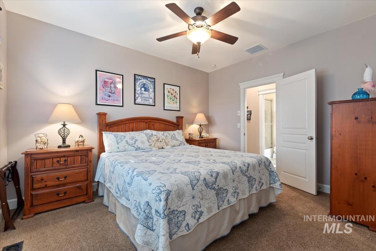 27915 Rabbit Brush