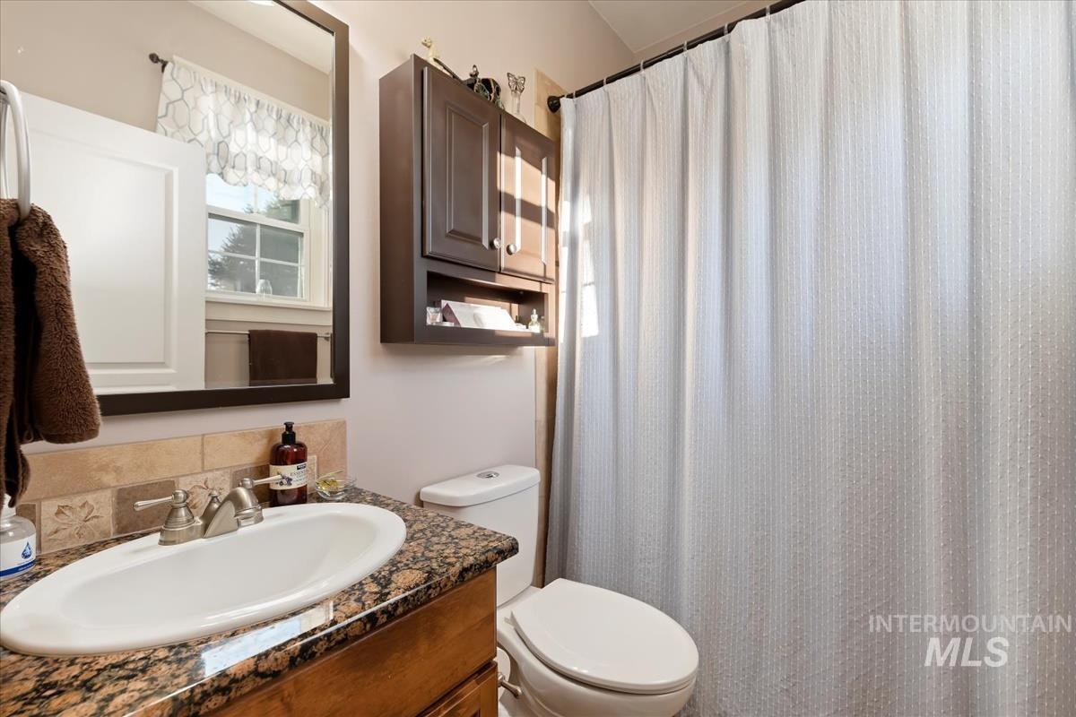 27915 Rabbit Brush