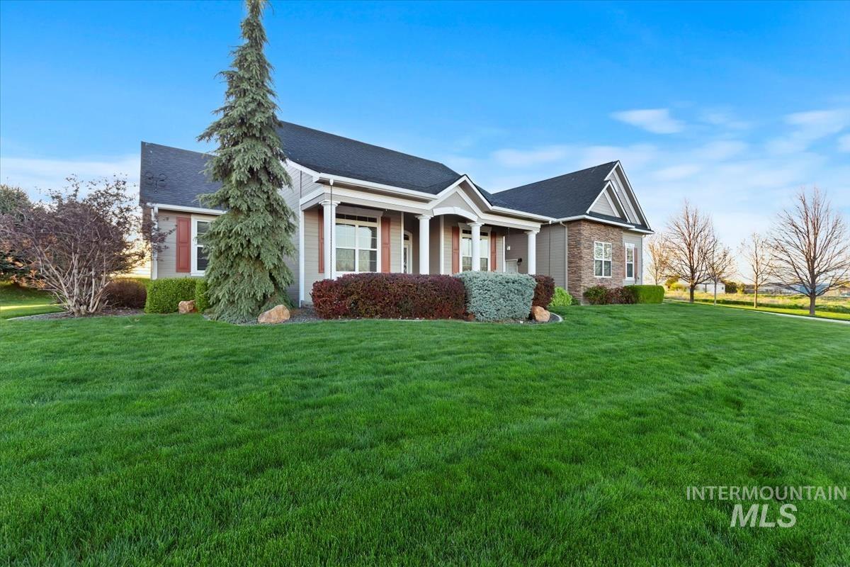 27915 Rabbit Brush