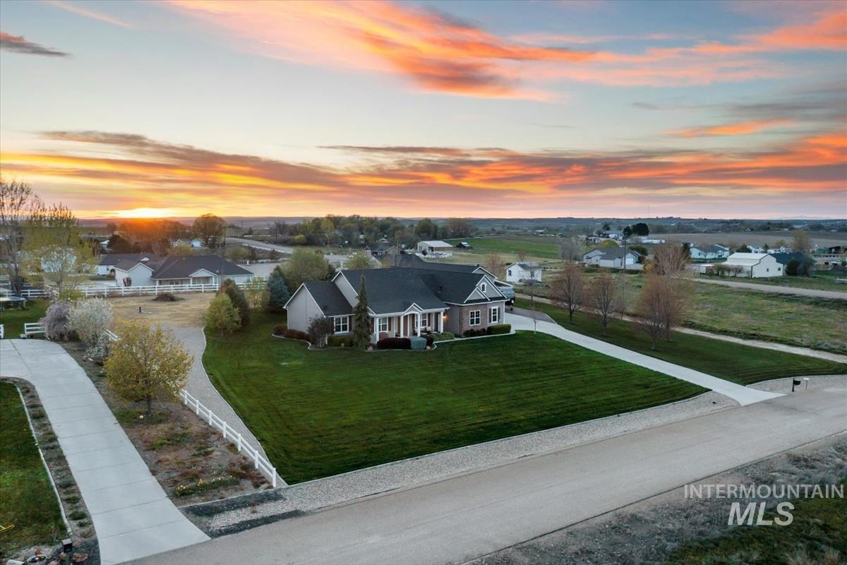 27915 Rabbit Brush