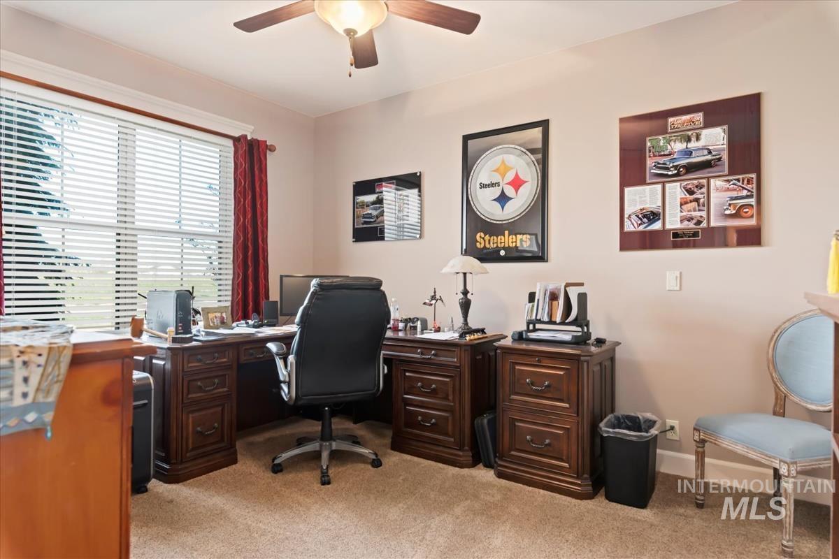 27915 Rabbit Brush