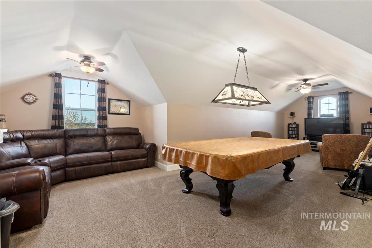 27915 Rabbit Brush