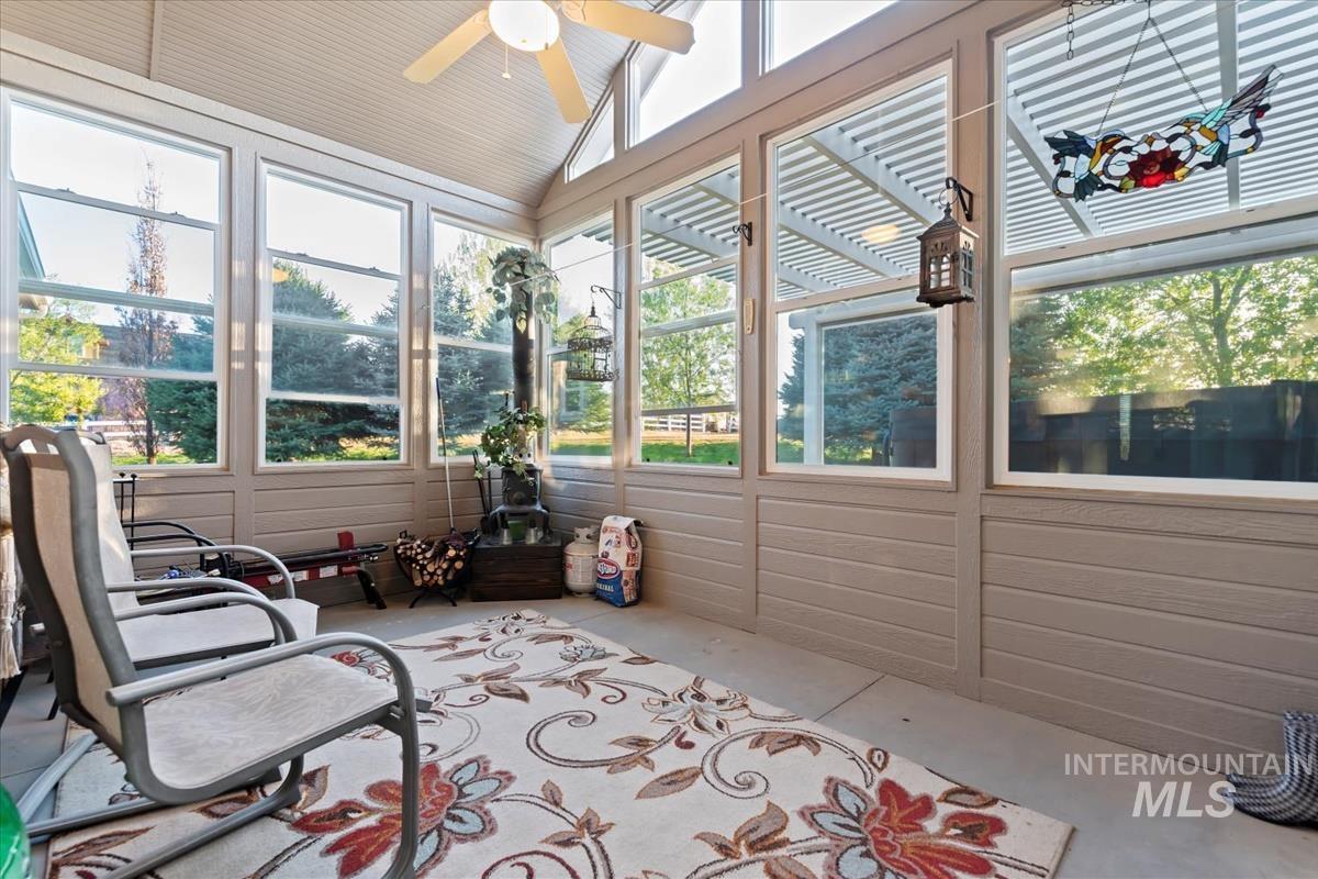 27915 Rabbit Brush