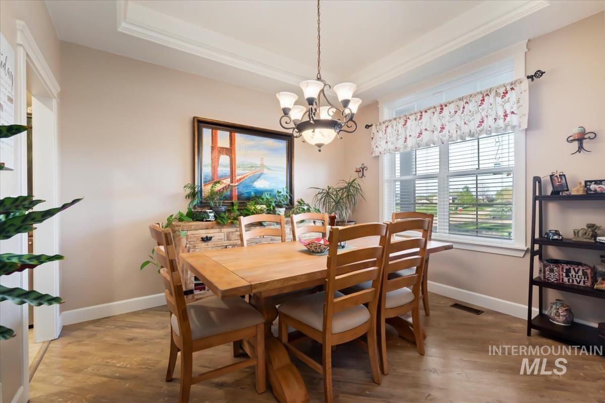 27915 Rabbit Brush