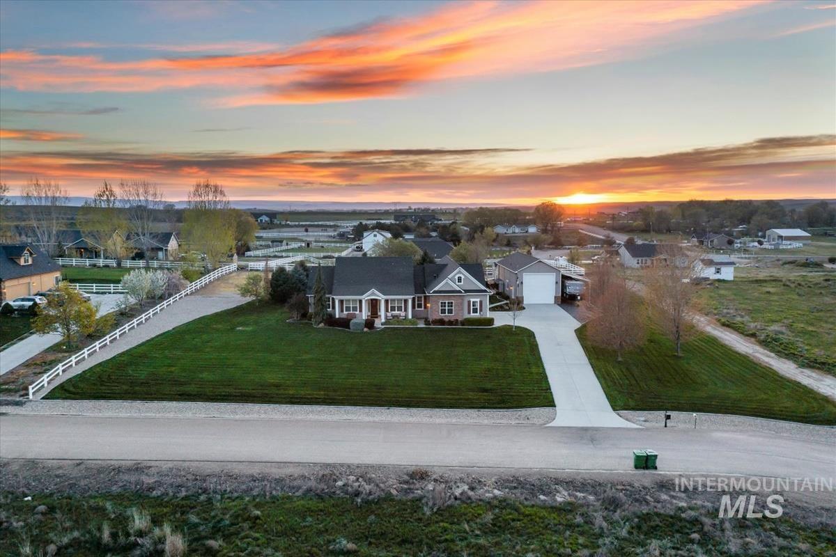 27915 Rabbit Brush