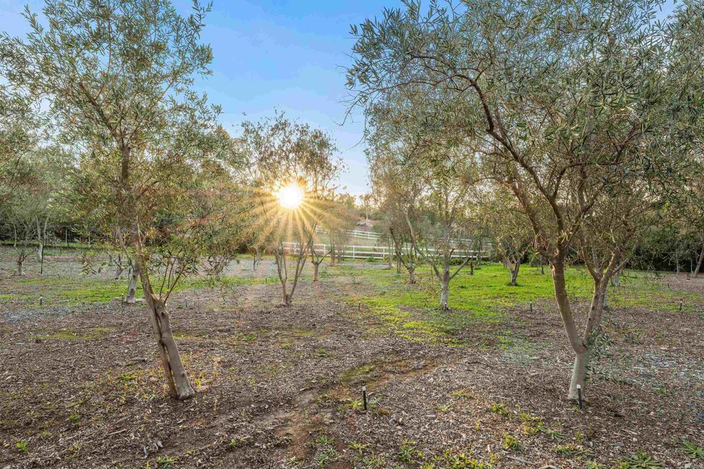 6870 La Valle Plateada