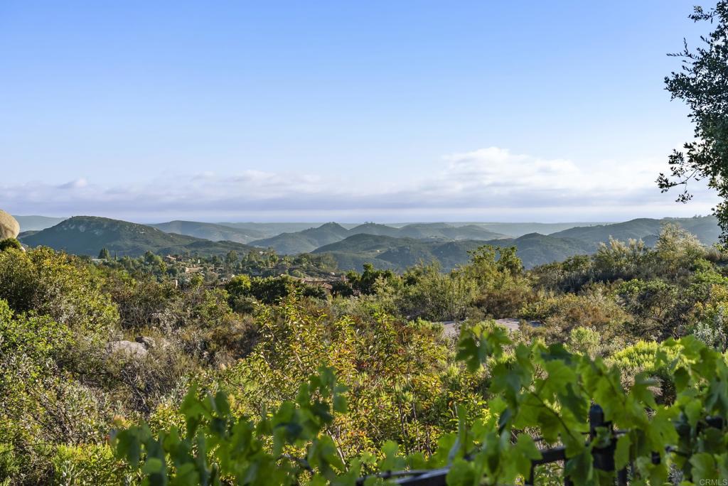 28889 Anderson Court