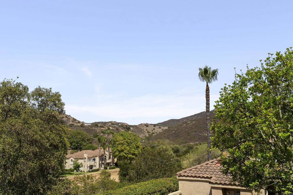 11306 Portobelo Drive 5