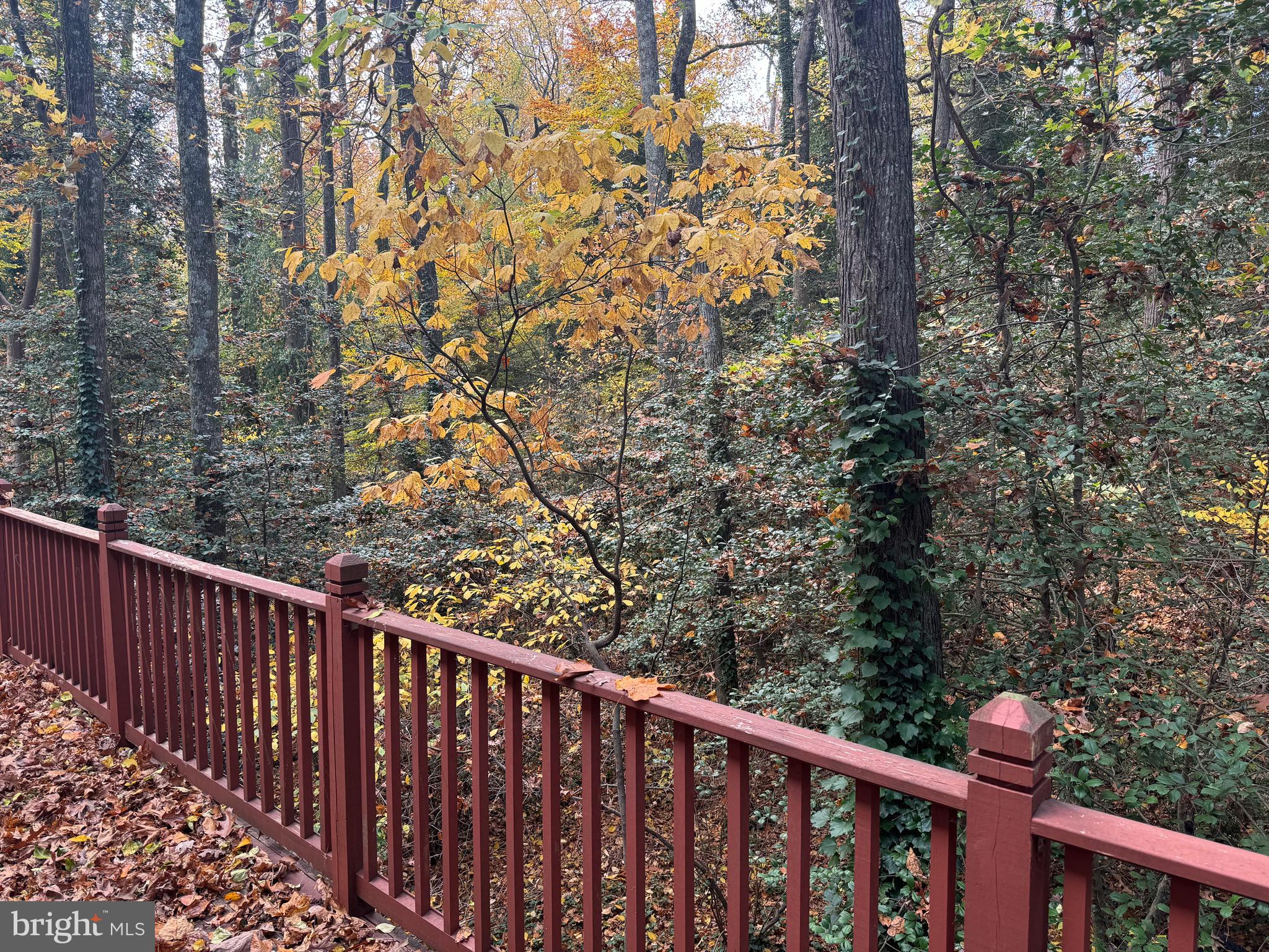 836 DOGWOOD TRL