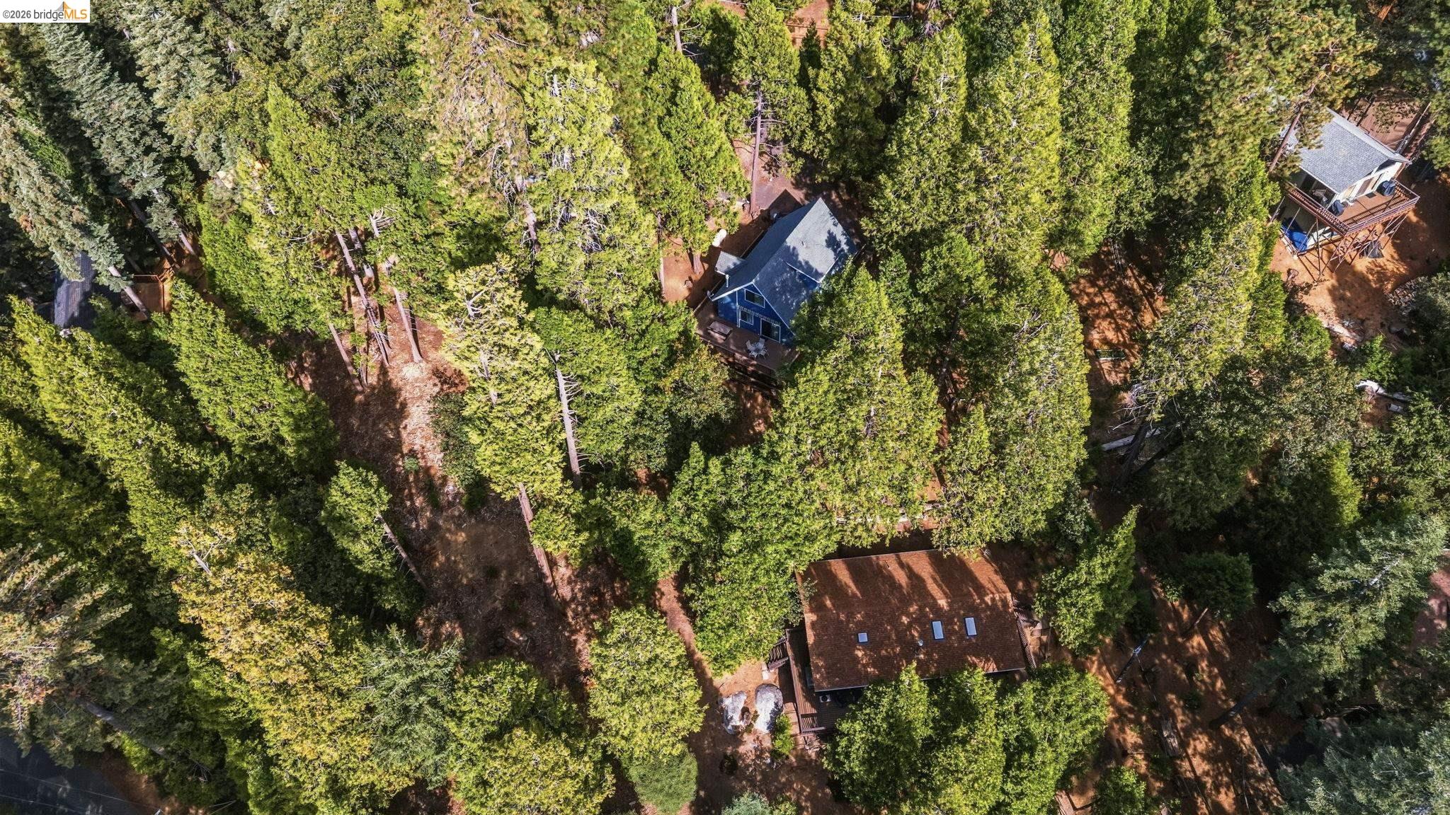 Aerial view of a home nestled among dense evergreen trees.