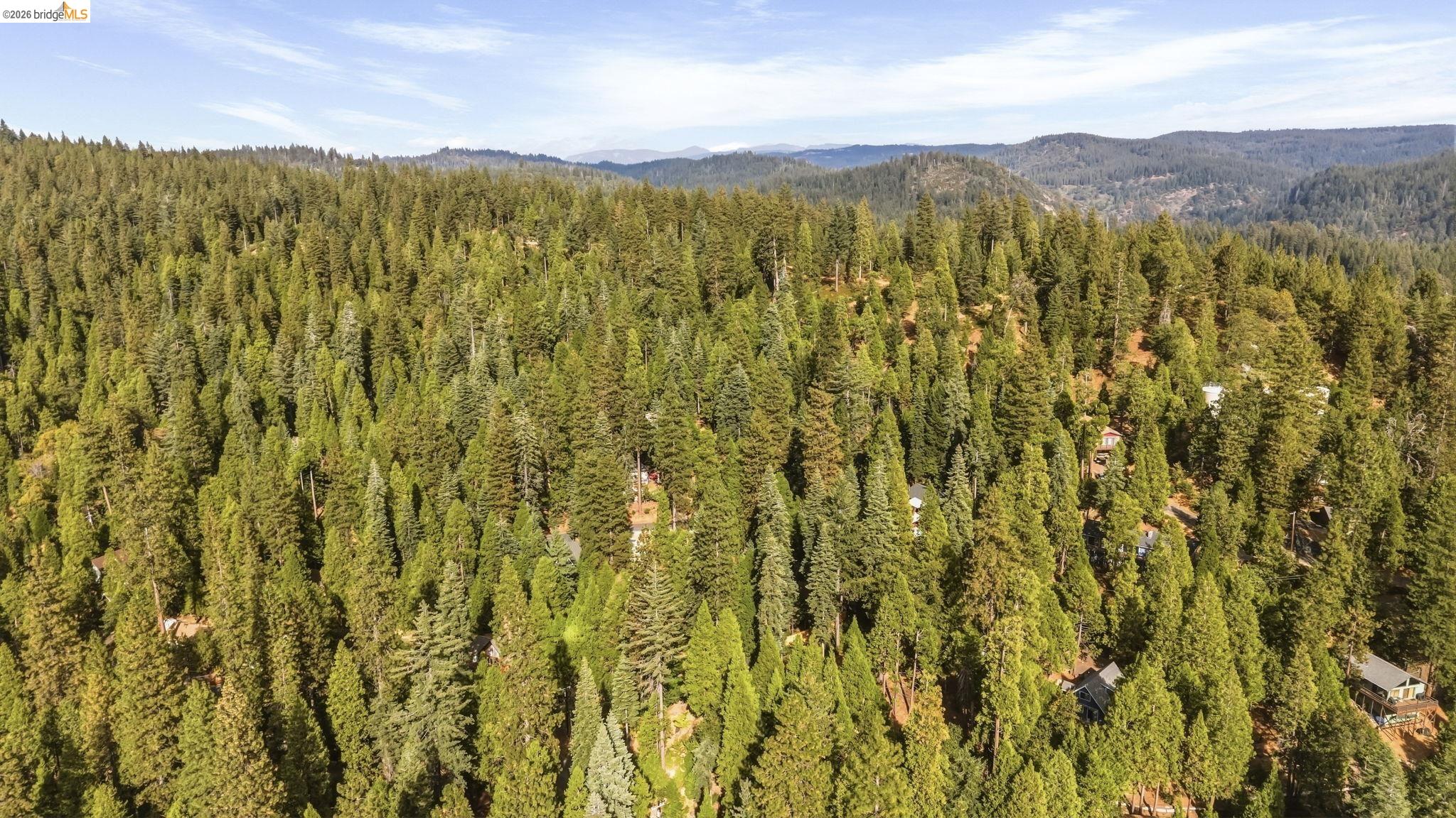 Aerial view of a forested mountain neighborhood with scattered homes among evergreen trees.