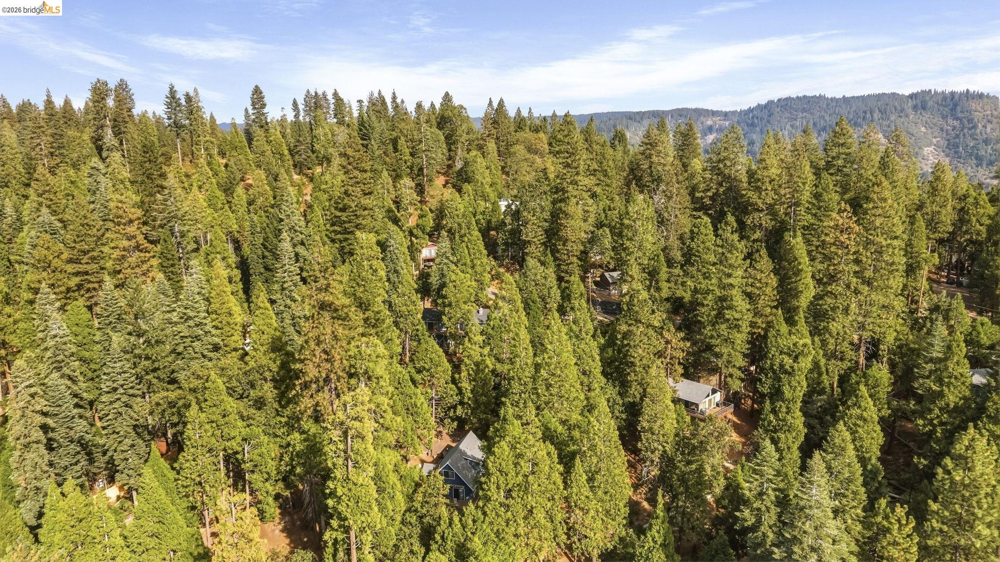 Aerial view of homes tucked among dense pine trees, with forested hills beyond.