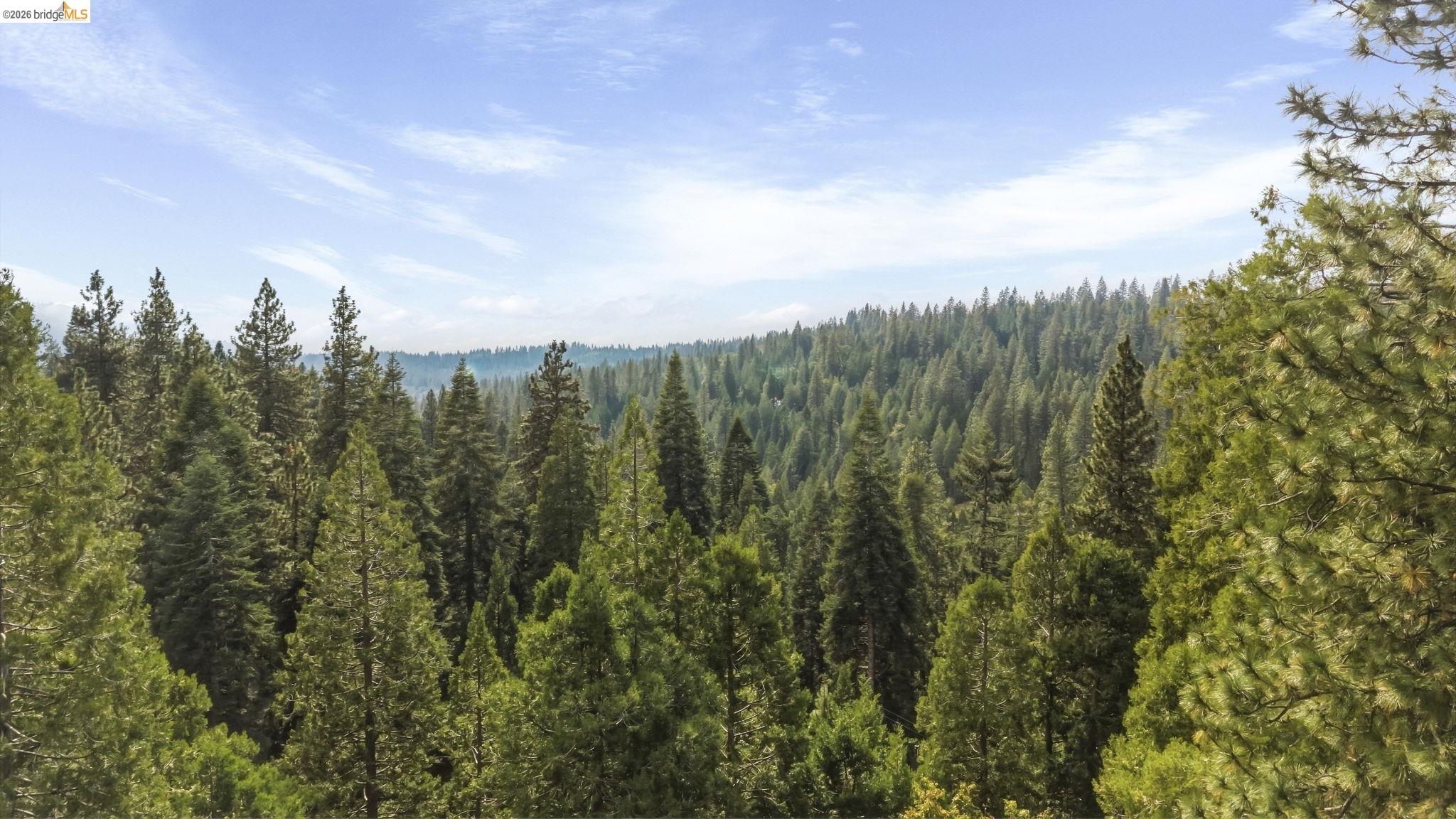 Panoramic evergreen forest view with rolling wooded hills in the distance.