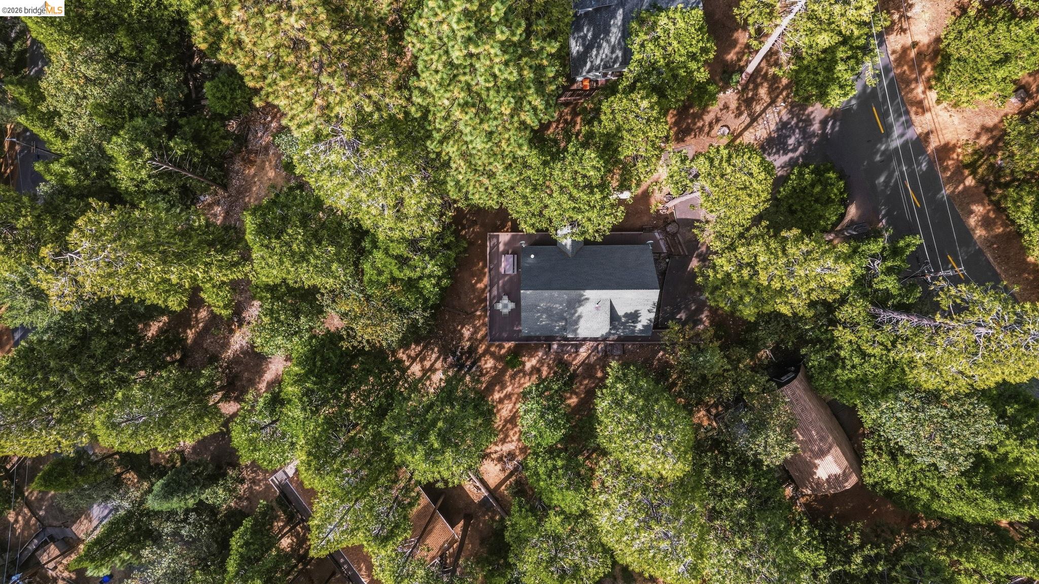Aerial view of a house and decks surrounded by dense trees beside a paved road.