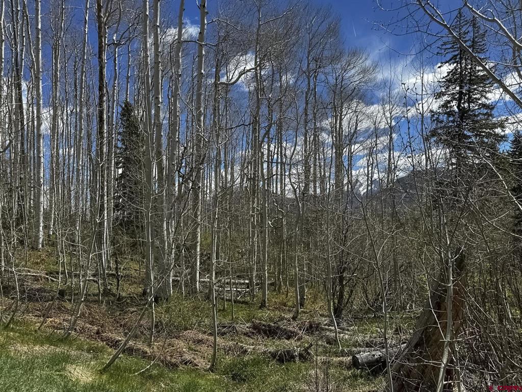 TBD Story Fork Road