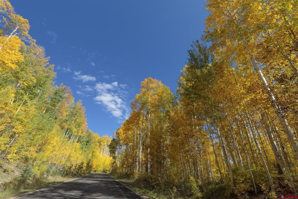 TBD Story Fork Road