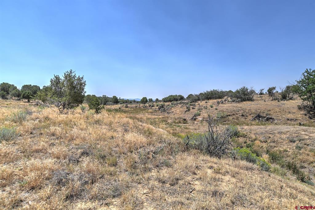245 Etta Place