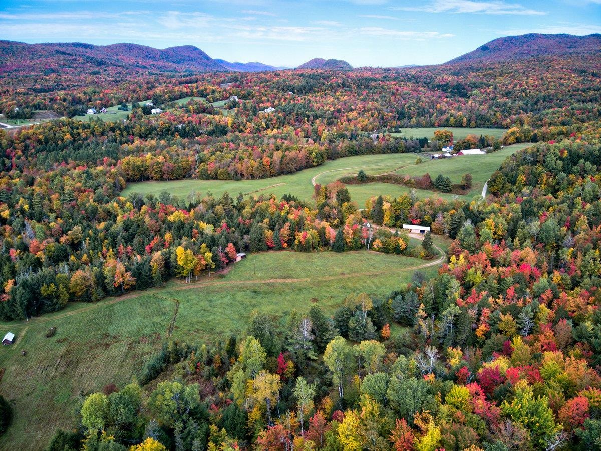 65 Stevensville Road