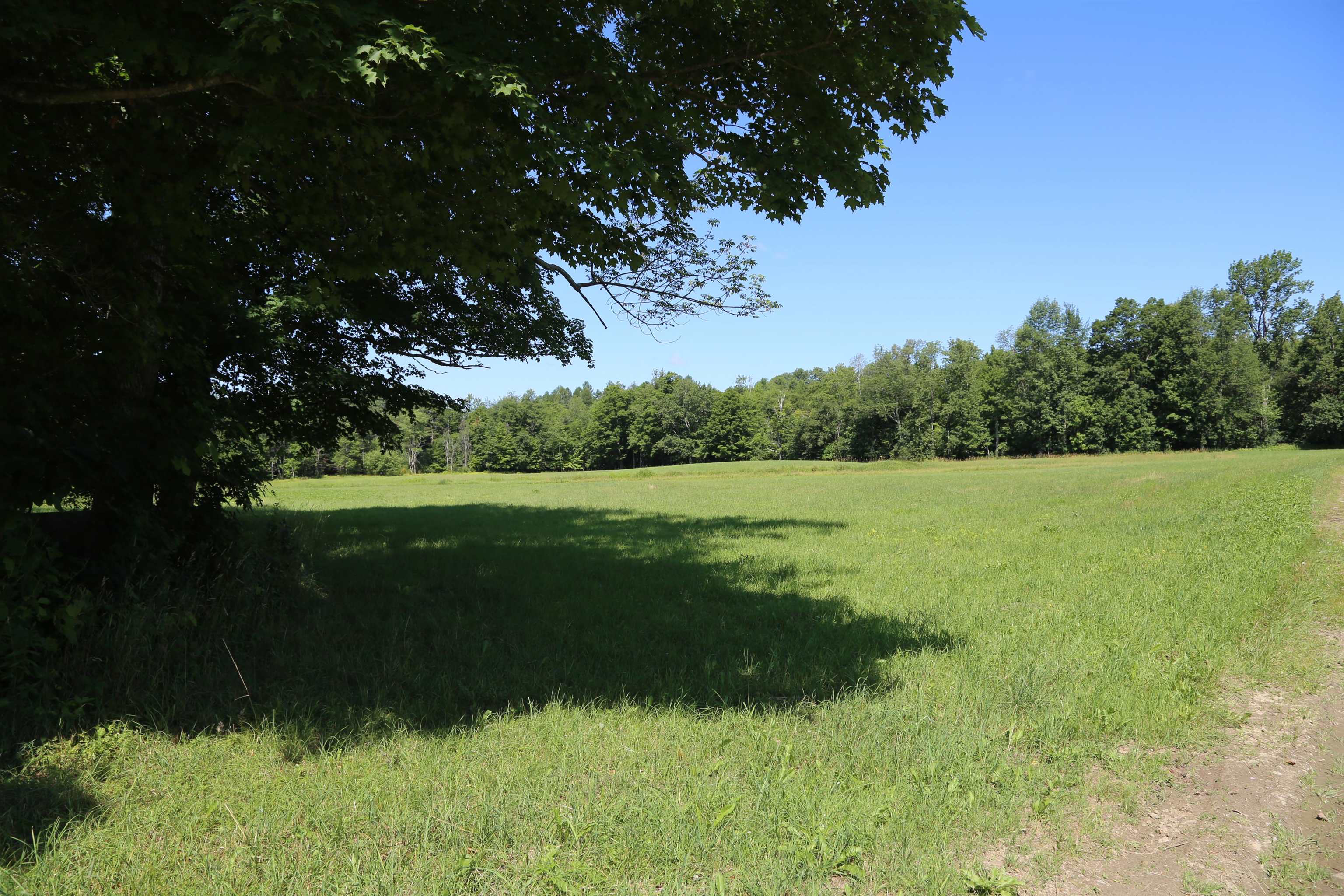 65 Stevensville Road