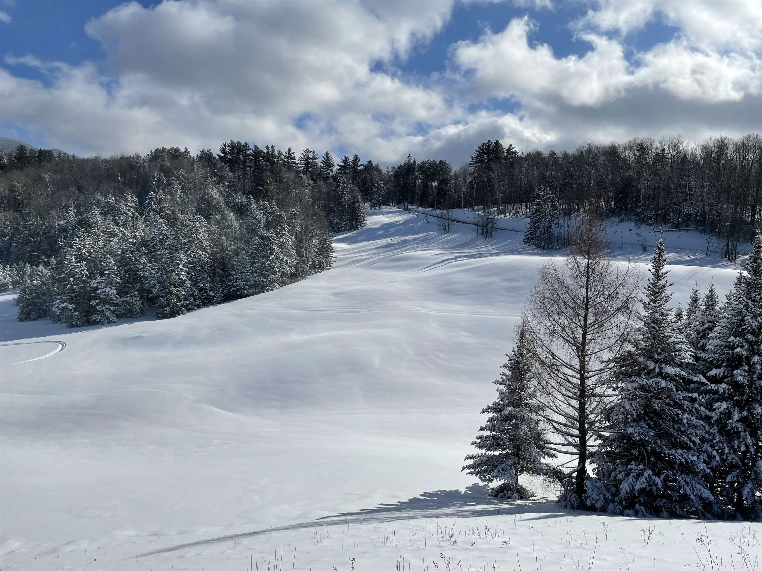 65 Stevensville Road